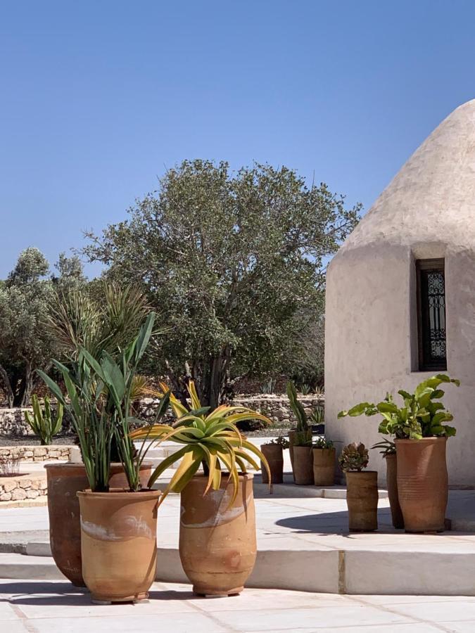 Les Jardins De Villa Maroc エッサウィラ エクステリア 写真